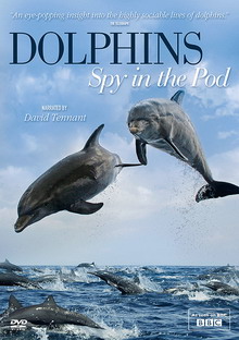 Dolphins: Spy In The Pod
