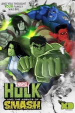 Hulk And The Agents Of S.m.a.s.h.: Season 1