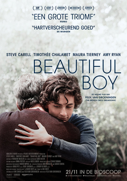 Beautiful Boy (2018)