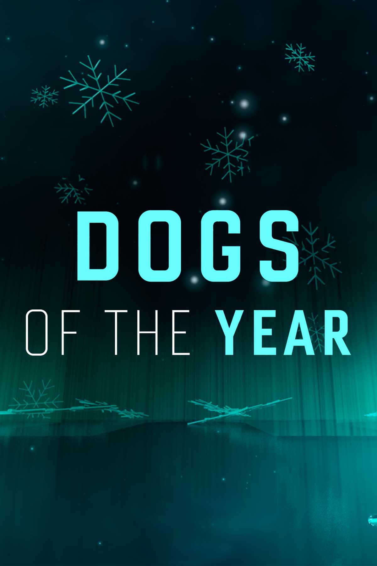 Dogs Of The Year 2022