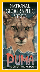 Puma: Lion Of The Andes