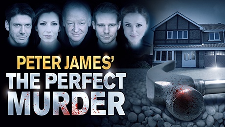The Perfect Murder: Season 2