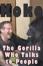 Koko: The Gorilla Who Talks To People