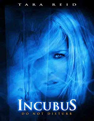 Incubus 2006
