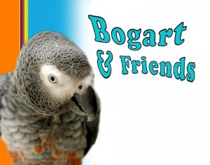 Bogart & Friends