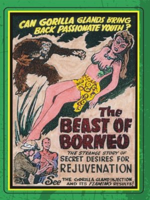 The Beast Of Borneo