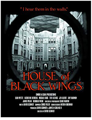 House Of Black Wings