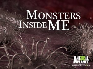 Monsters Inside Me: Season 7