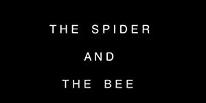 The Spider And The Bee