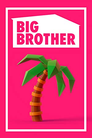 Big Brother (us): Season 21