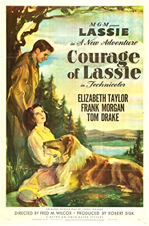 Courage Of Lassie