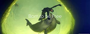 Born To Be Free