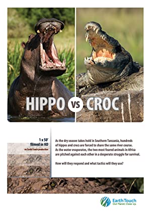 Hippo Vs Croc