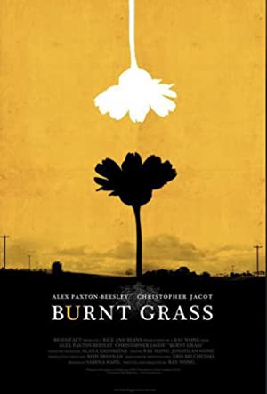 Burnt Grass