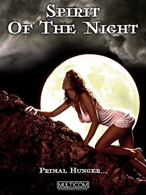 Huntress: Spirit Of The Night