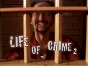 Life Of Crime 2
