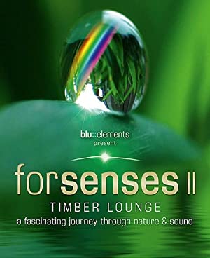 Forsenses 2: Timber Lounge