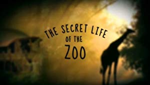 The Secret Life Of The Zoo: Season 6