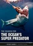 The Search For The Ocean's Super Predator