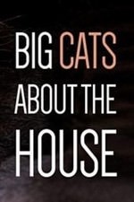 Big Cats About The House: Season 1