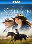 Midnight Stallion