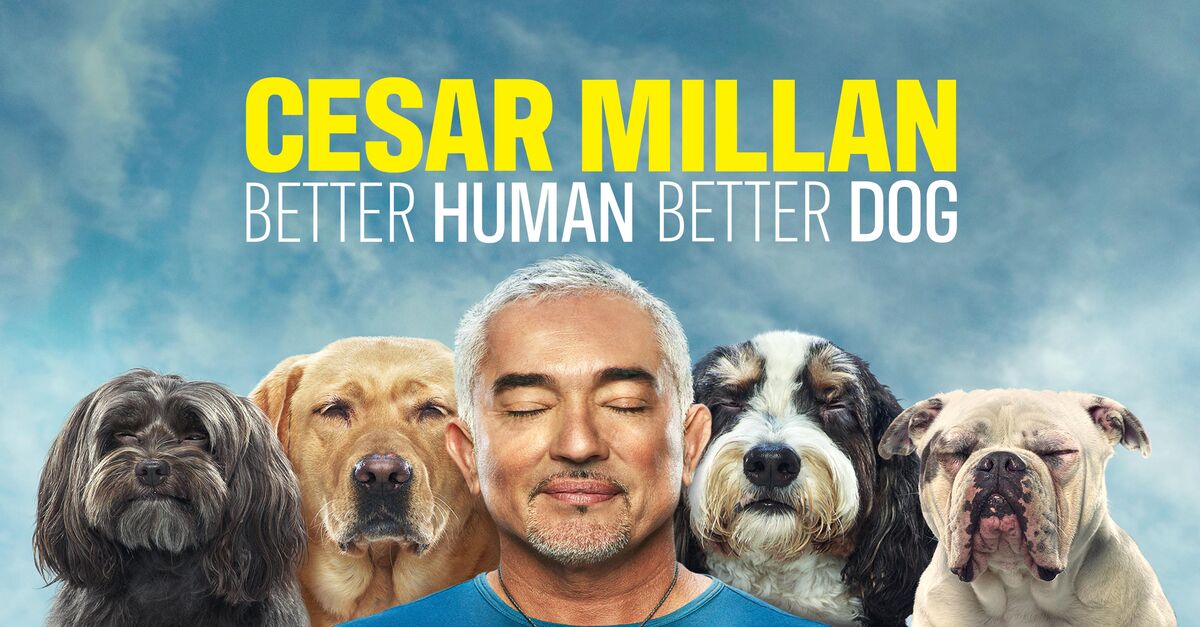 Cesar Millan: Better Human Better Dog: Season 1