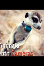 Animals With Cameras: Season 1