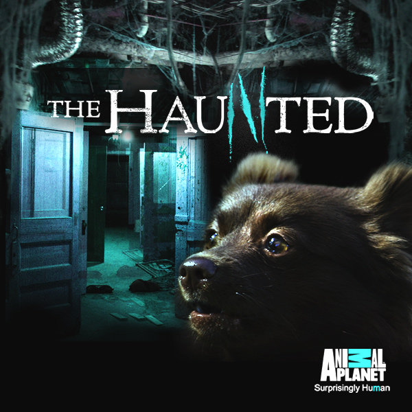 The Haunted: Season 2