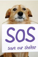 Save Our Shelter: Season 1