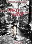 Spirit In The Woods