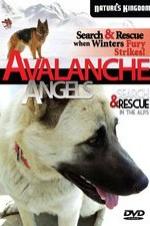 Avalanche Angels