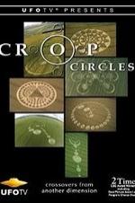 Crop Circles: Crossover From Another Dimension