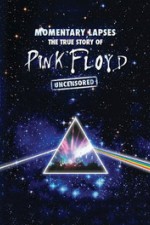 Pink Floyd: Momentary Lapses - The True Story Of Pink Floyd