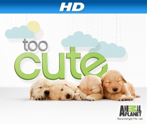 Too Cute!: Season 1