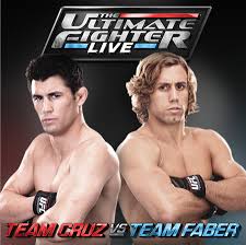The Ultimate Fighter: Season 15