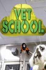 Vet School: Season 1