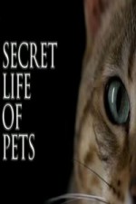 The Secret Life Of Pets: Season 1